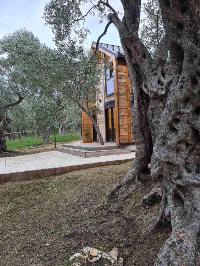 Olea Cottage Ούλτσιν Εξωτερικό φωτογραφία
