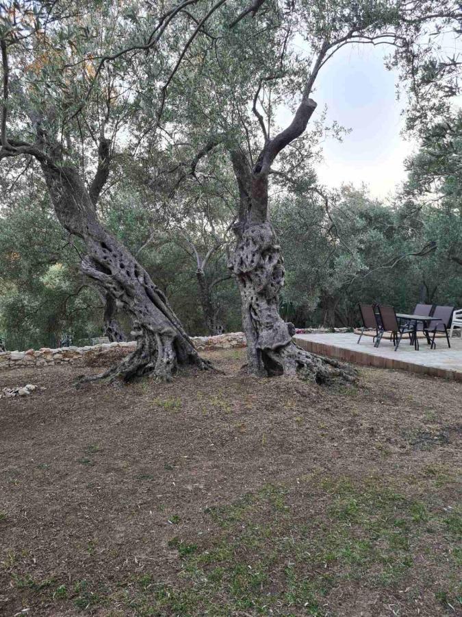 Olea Cottage Ούλτσιν Εξωτερικό φωτογραφία