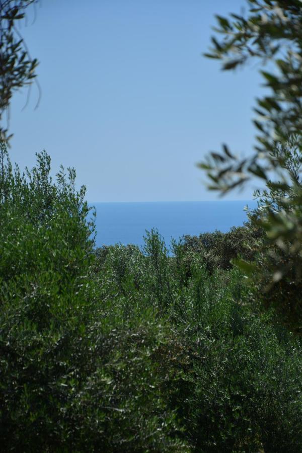 Olea Cottage Ούλτσιν Εξωτερικό φωτογραφία