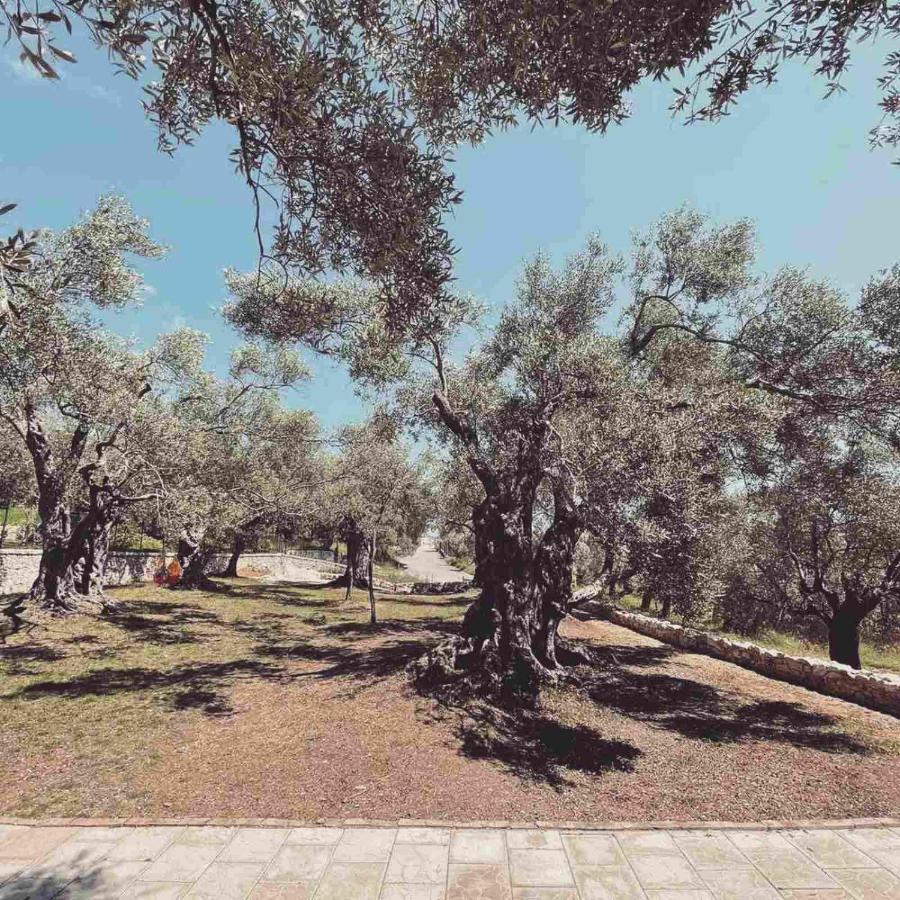 Olea Cottage Ούλτσιν Εξωτερικό φωτογραφία
