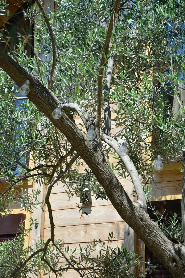 Olea Cottage Ούλτσιν Εξωτερικό φωτογραφία