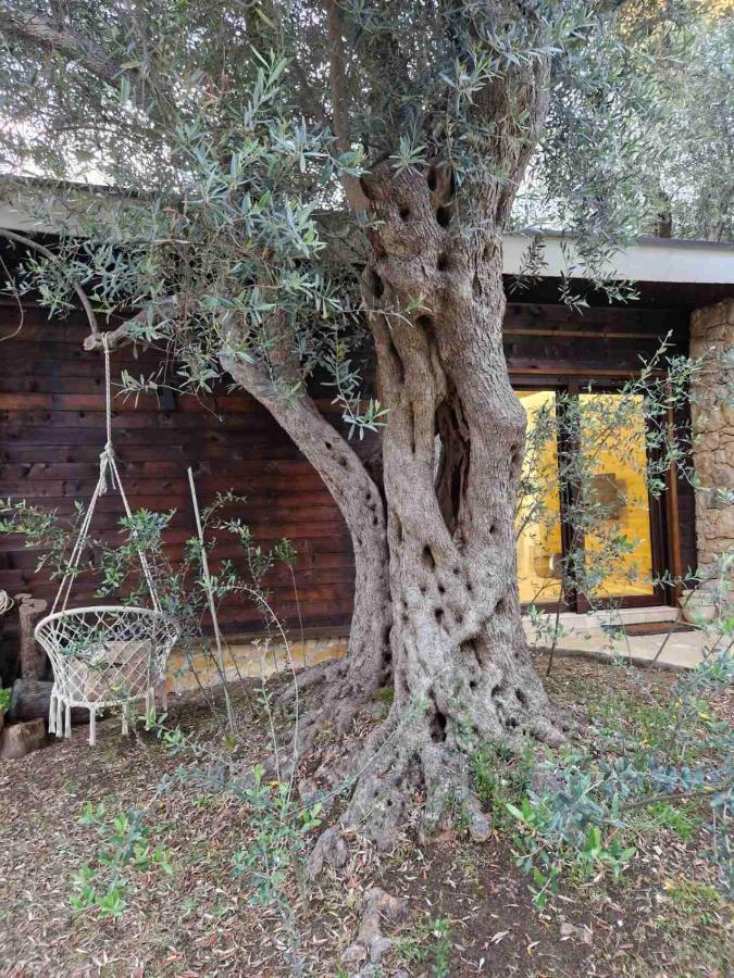 Olea Cottage Ούλτσιν Εξωτερικό φωτογραφία