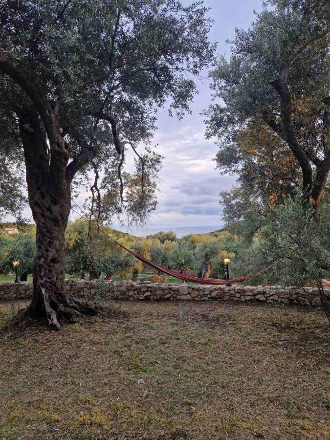 Olea Cottage Ούλτσιν Εξωτερικό φωτογραφία